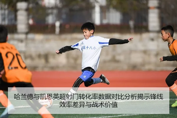 哈兰德与凯恩英超射门转化率数据对比分析揭示锋线效率差异与战术价值